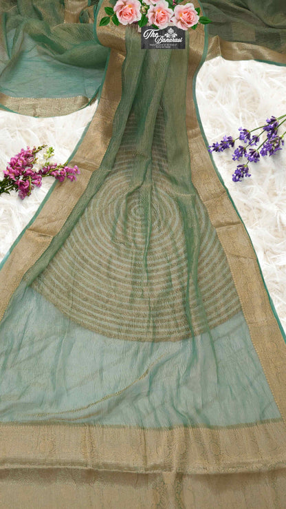 Luxury Pista Color Handwoven Banarasi Tissue Silk Saree - Full View