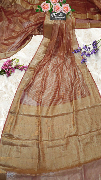 Luxury Brick Color Handwoven Banarasi Tissue Silk Saree - Full View